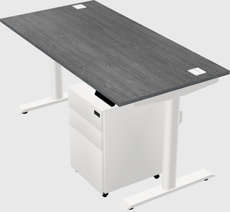 Dual motor electric desk