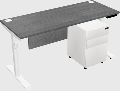 Dual motor electric desk