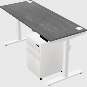 Dual motor electric desk