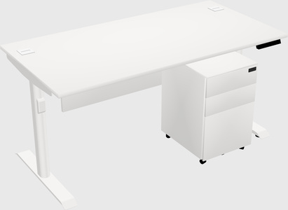 Dual Motor Electric Desk