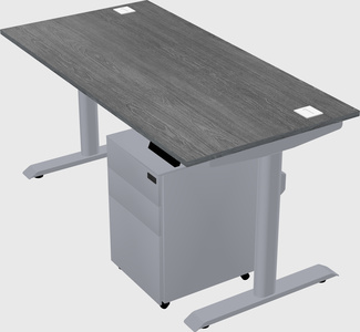 Dual motor electric desk