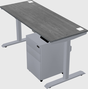 Dual motor electric desk