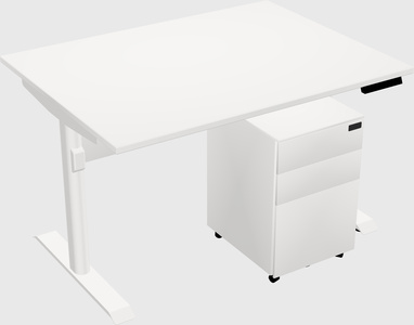 Dual Motor Electric Desk