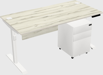 Dual Motor Electric Desk