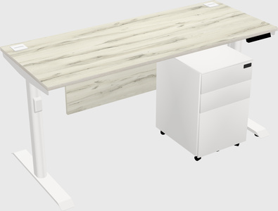 Dual motor electric desk