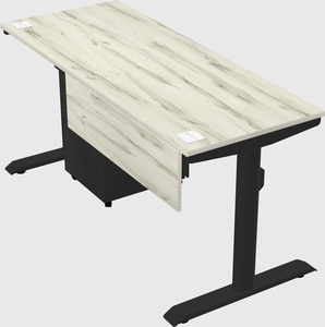 Dual motor electric desk