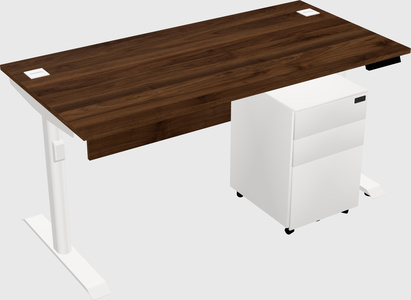 Dual motor electric desk