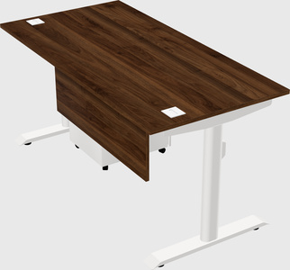 Dual motor electric desk