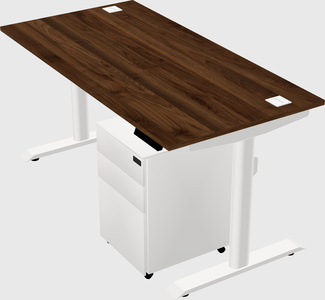 Dual motor electric desk