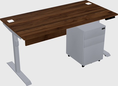 Dual motor electric desk