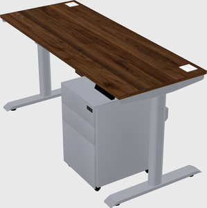 Dual motor electric desk
