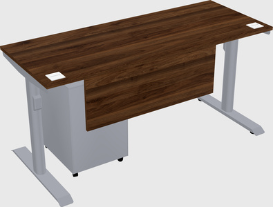 Dual motor electric desk