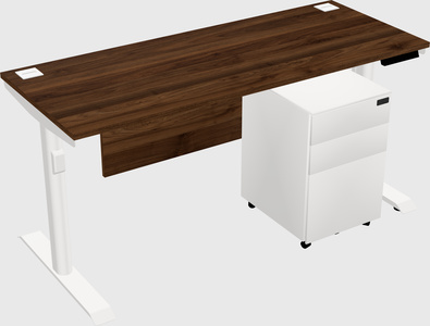 Dual motor electric desk