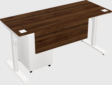 Dual motor electric desk