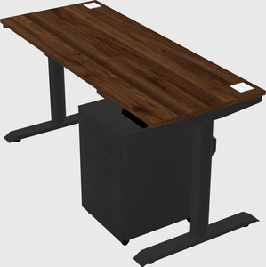 Dual motor electric desk