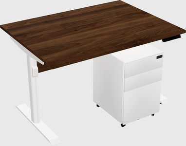 Dual Motor Electric Desk