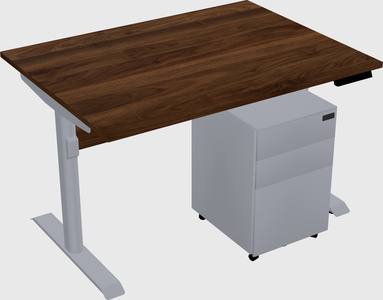 Dual motor electric desk