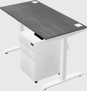 Dual motor electric desk