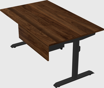 Dual motor electric desk