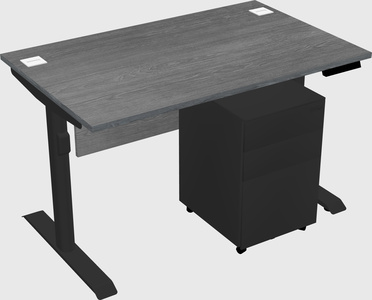 Dual motor electric desk
