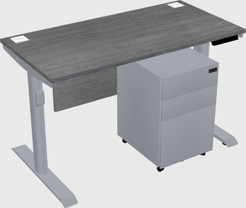 Dual motor electric desk