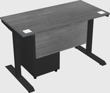 Dual motor electric desk