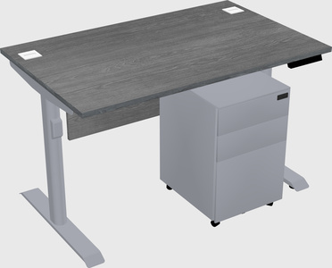 Dual motor electric desk