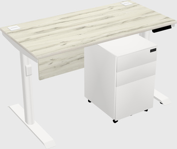 Dual motor electric desk