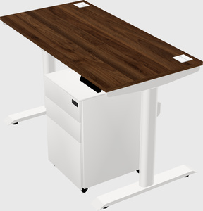 Dual motor electric desk