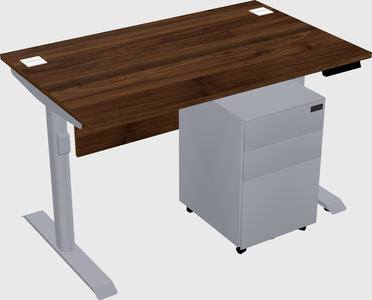 Dual motor electric desk
