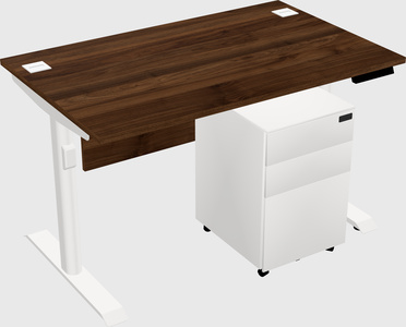 Dual motor electric desk