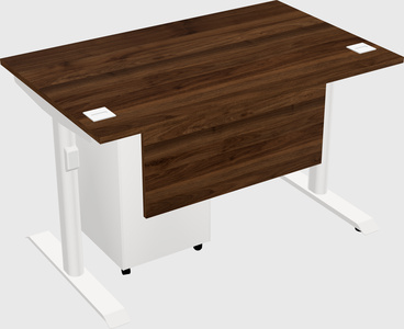Dual motor electric desk