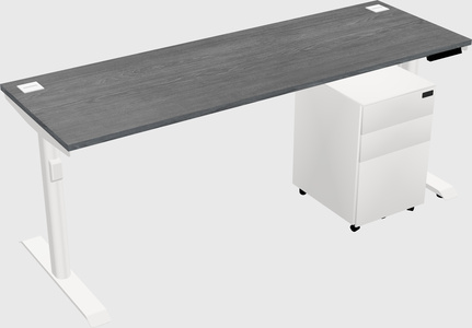 Dual Motor Electric Desk