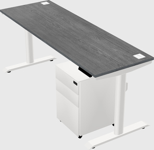 Dual motor electric desk