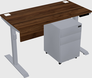 Dual motor electric desk
