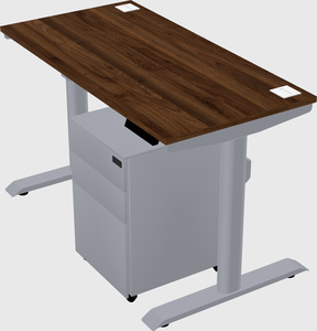 Dual motor electric desk