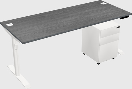 Dual motor electric desk