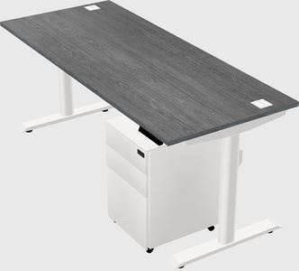 Dual motor electric desk