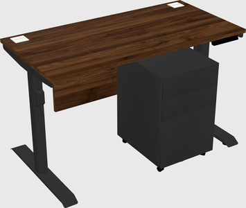 Dual motor electric desk