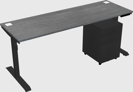Dual motor electric desk