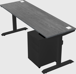 Dual motor electric desk