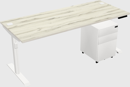 Dual Motor Electric Desk