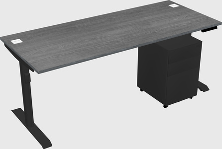 Dual motor electric desk