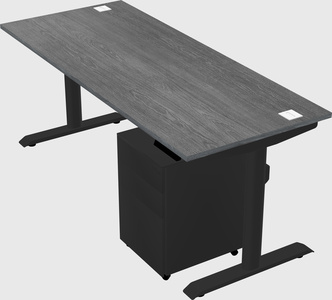 Dual motor electric desk