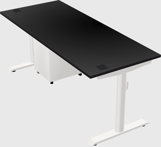 Dual motor electric desk