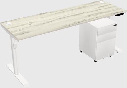 Dual motor electric desk