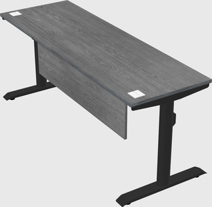Dual motor electric desk