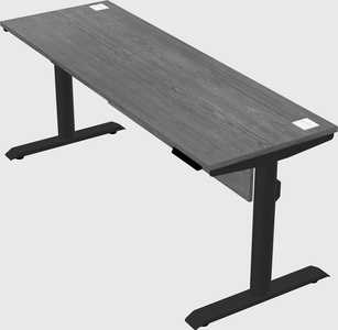 Dual motor electric desk