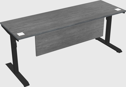 Dual motor electric desk