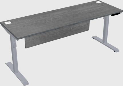 Dual motor electric desk
